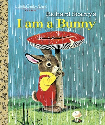 I am a Bunny - Big Sky Life Books