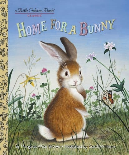 Home For A Bunny - Big Sky Life Books